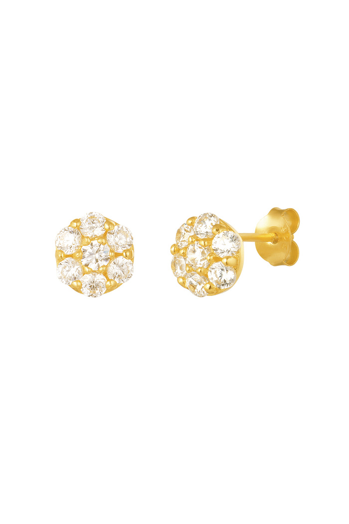 Ear studs round with stones - 925 silver 