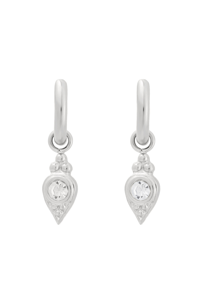 Earrings charm with stone - silver 