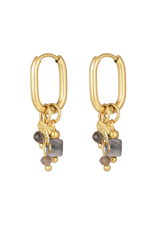 Earring with gray beads - gold h5 