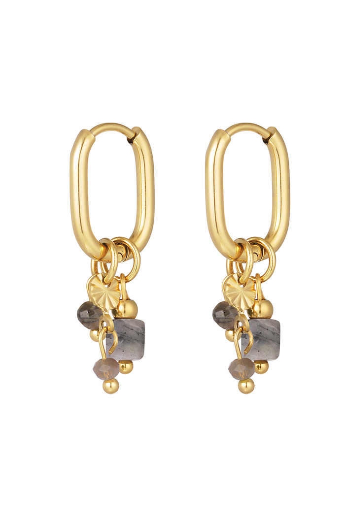Earring with gray beads - gold 