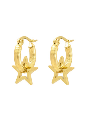 Earrings twisted with star - gold h5 