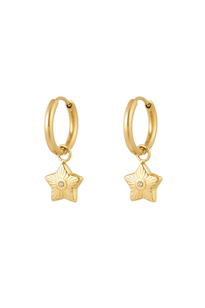 Charm earrings star with stone - gold h5 