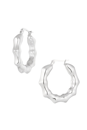 Earrings round twists - silver h5 
