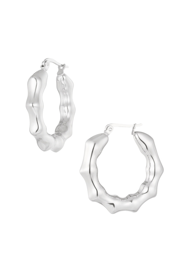 Earrings round twists - silver