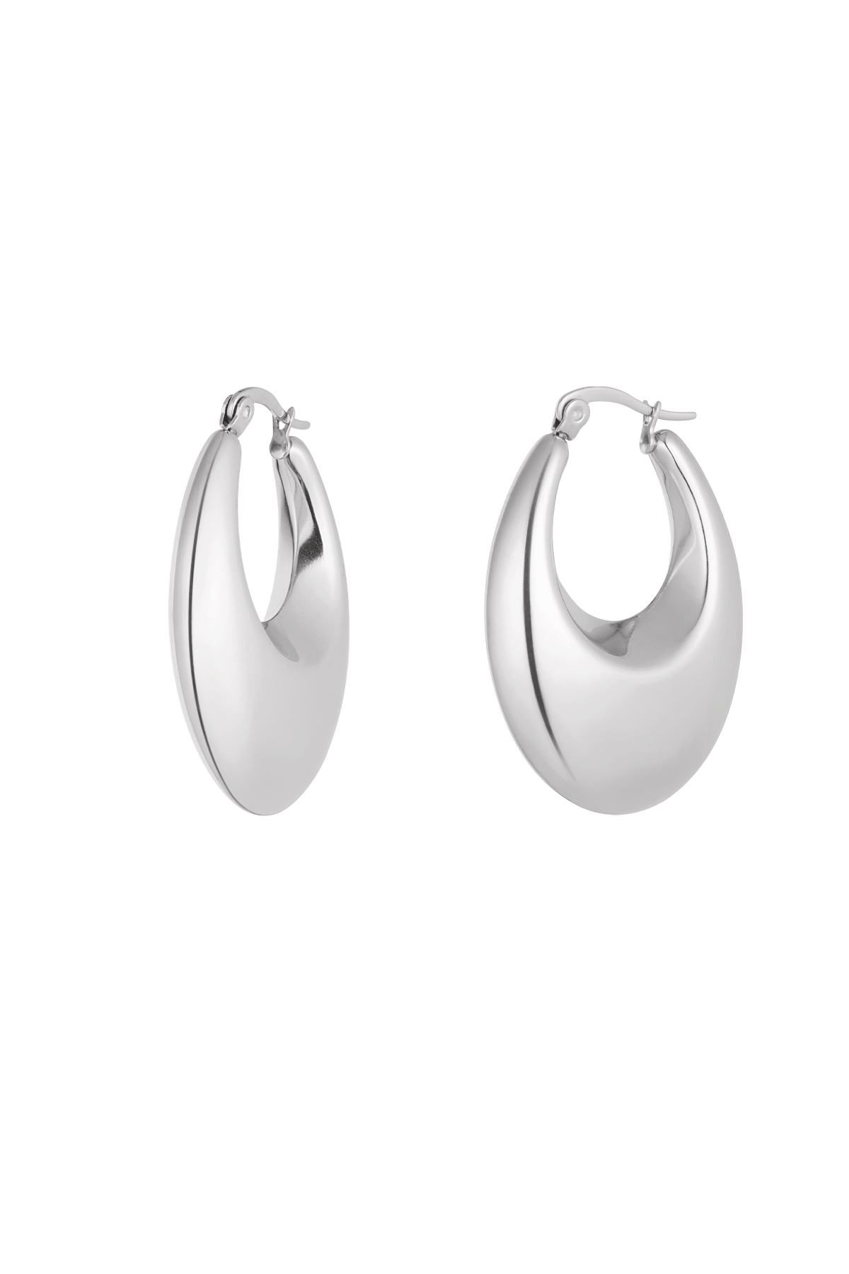 Earrings aesthetic elegant - silver h5 