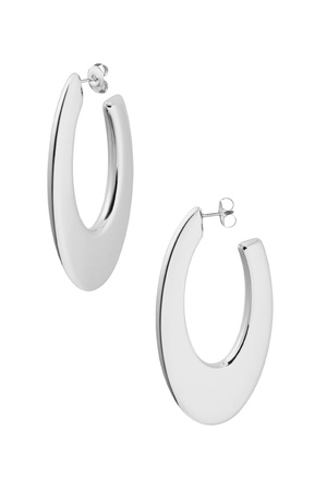 Earrings large circle - silver h5 