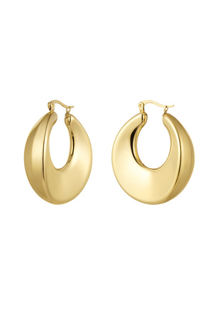 Earrings shiny round - gold h5 