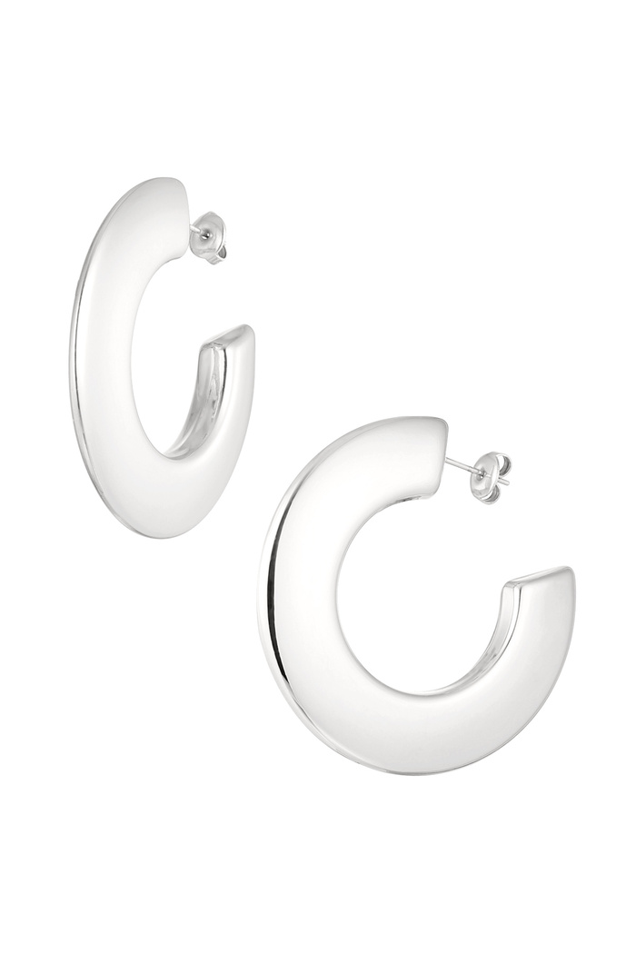 Earrings thick circle - silver 
