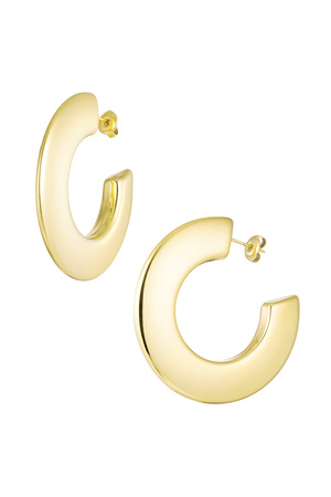Earrings thick circle - gold h5 