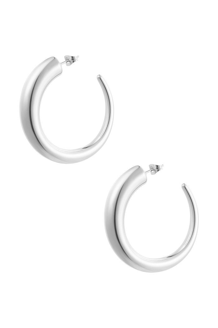 Earrings round matte - silver 