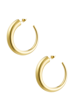 Earrings round matte - gold h5 