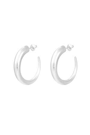 Earrings round - silver h5 