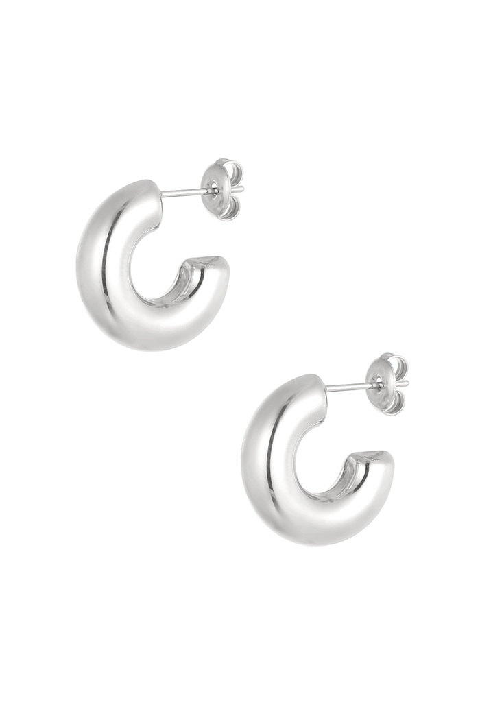 Earrings aesthetic basic half moon small - silver 