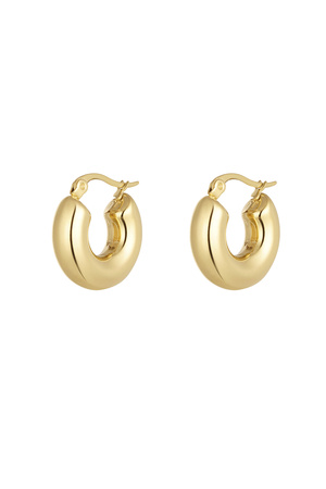 Earrings aesthetic basic - gold h5 