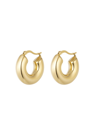 Earrings thick round - gold h5 