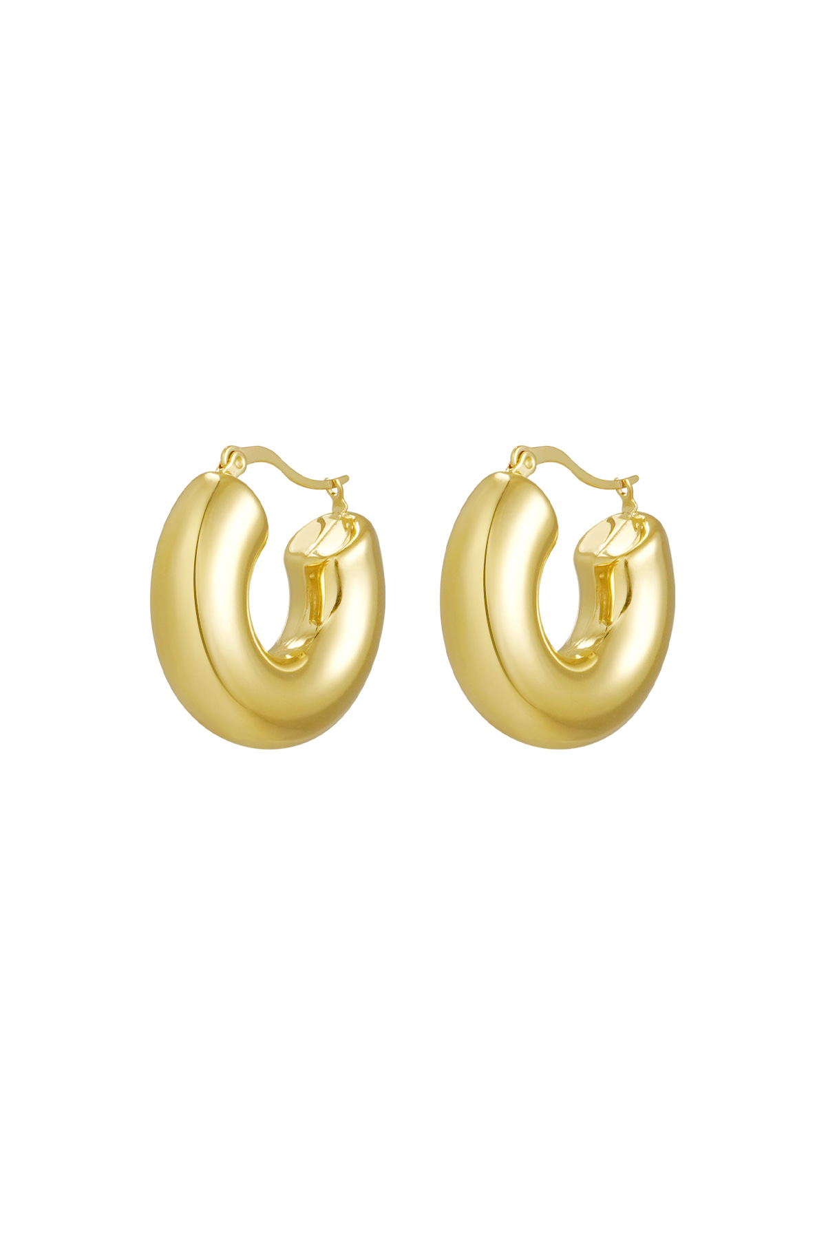 Earrings round thick - gold h5 
