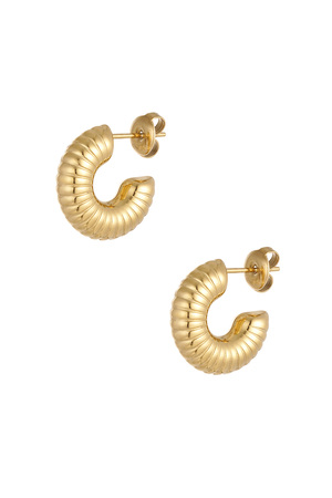 Earrings half moon relief - gold h5 