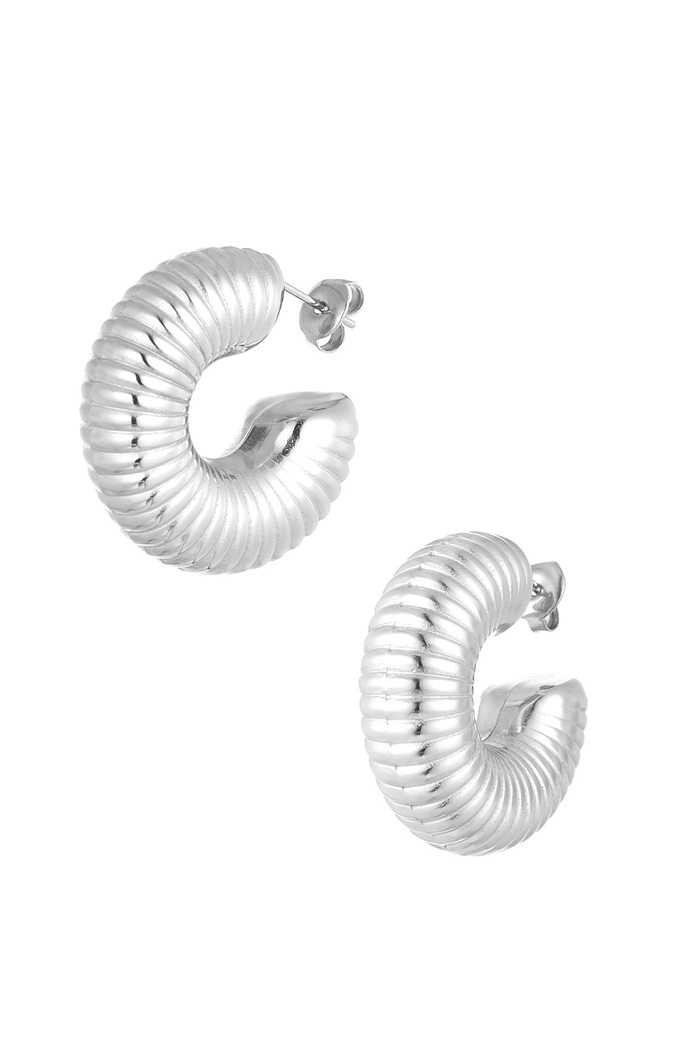 Earrings aesthetic half moon - silver 