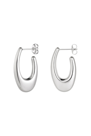 Earrings aesthetic - silver h5 