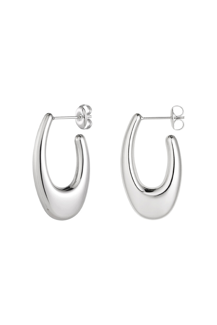 Earrings aesthetic - silver 