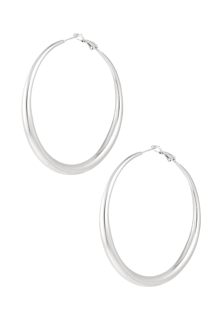 Basic earrings with variety - silver 
