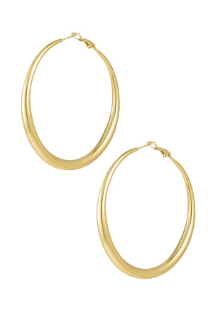 Basic earrings with variety - gold h5 