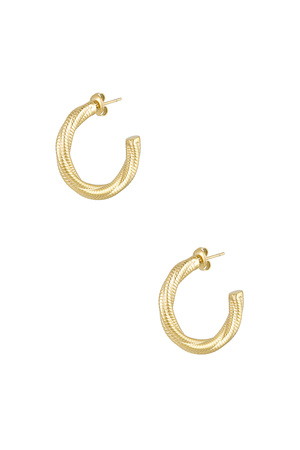 Earrings twisted relief small - gold h5 