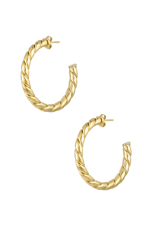 Earrings twisted basic - gold h5 