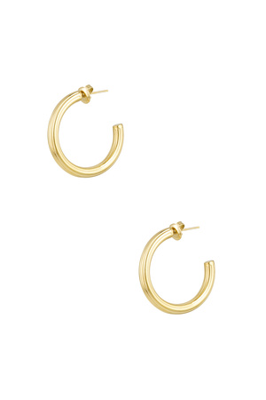 Classic earrings small - gold h5 