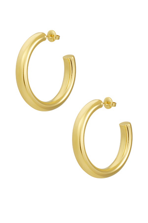 Earrings basic thick - gold h5 