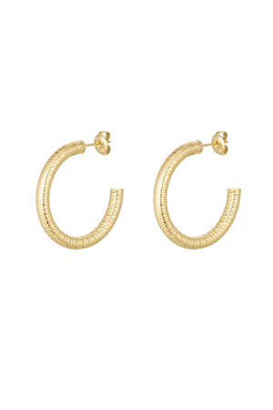 Earrings striped print - gold h5 