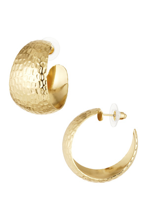 Earrings graceful print - gold h5 