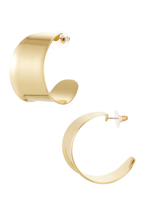Aesthetic earrings - gold h5 