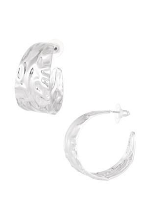 Earrings chic - silver h5 