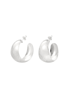 Earrings brushed wide - silver h5 
