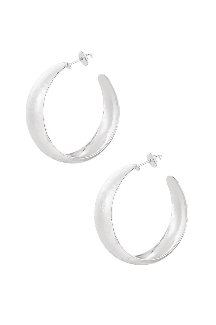 Earrings subtle structure - silver 