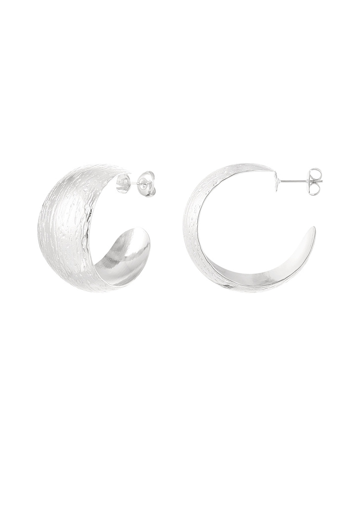 Earrings moon brushed - silver 