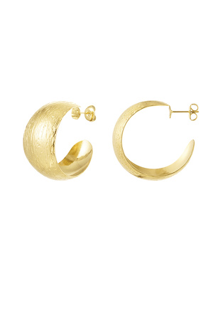 Earrings moon brushed - gold h5 