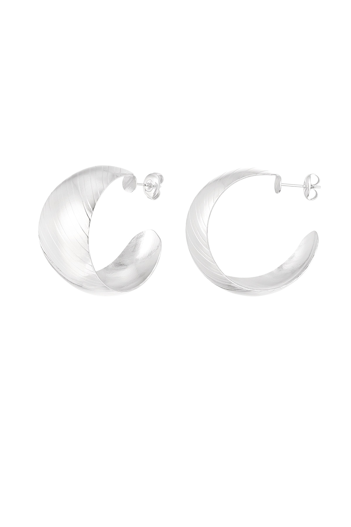 Earrings brushed - silver h5 