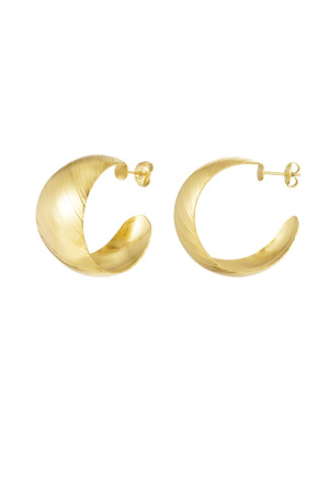 Earrings brushed - gold h5 