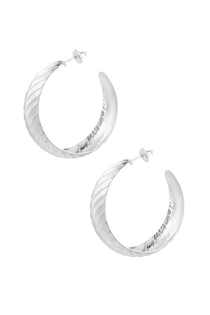 Earrings stripe detail - silver h5 
