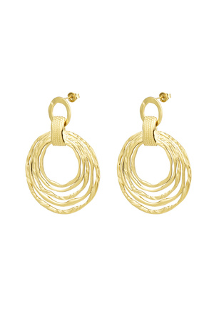 Earrings circles - gold h5 