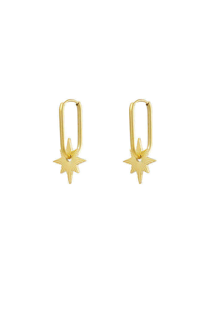 Elongated earrings with star - gold 