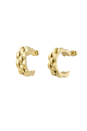 Earrings round link in link - gold h5 