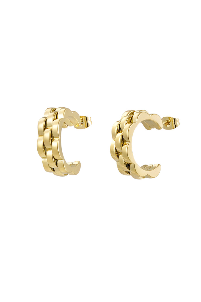 Earrings round link in link - gold 
