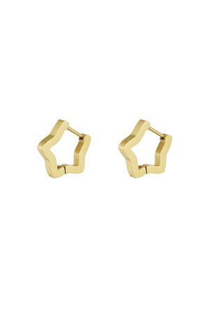 Basic star earrings gold - small h5 