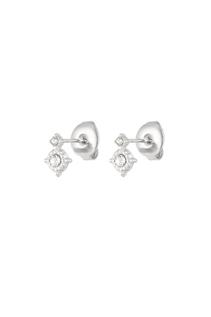 Chic earring with double rhinestones - silver h5 