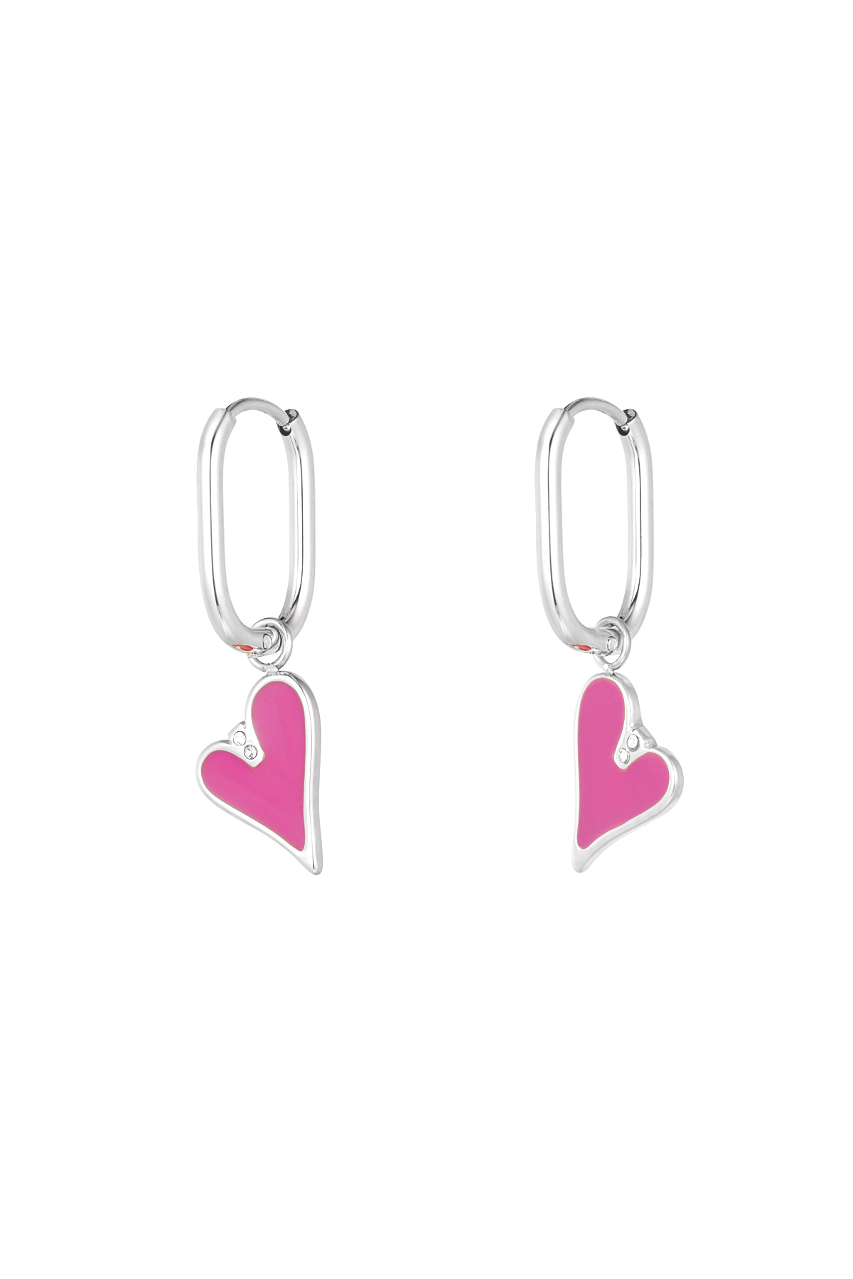 Earrings love bird - silver h5 