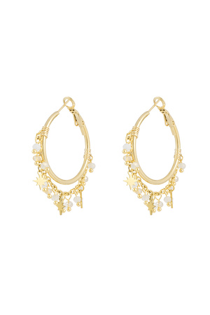 Earrings flawless filter - beige gold h5 