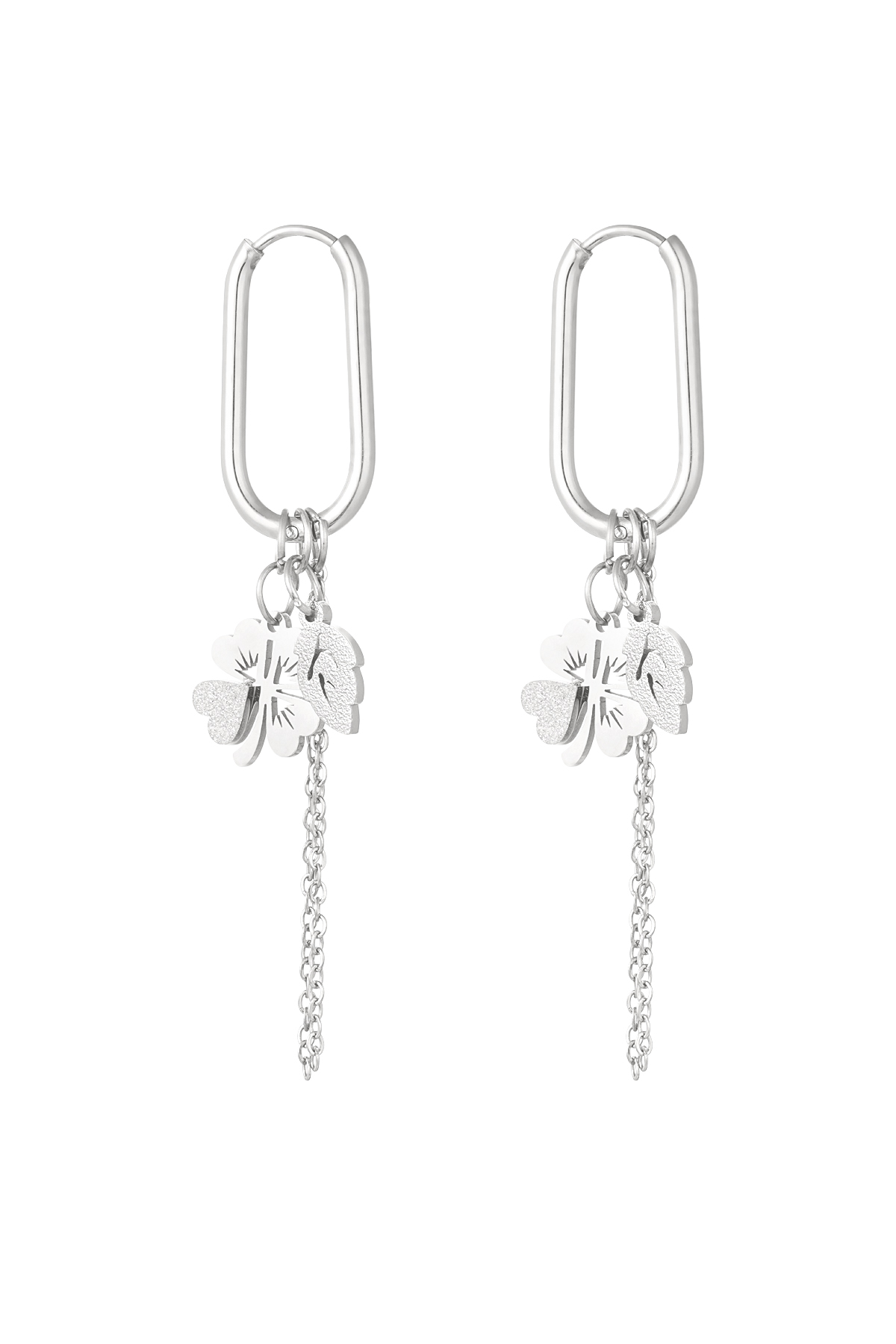 Earrings lucky day - silver h5 